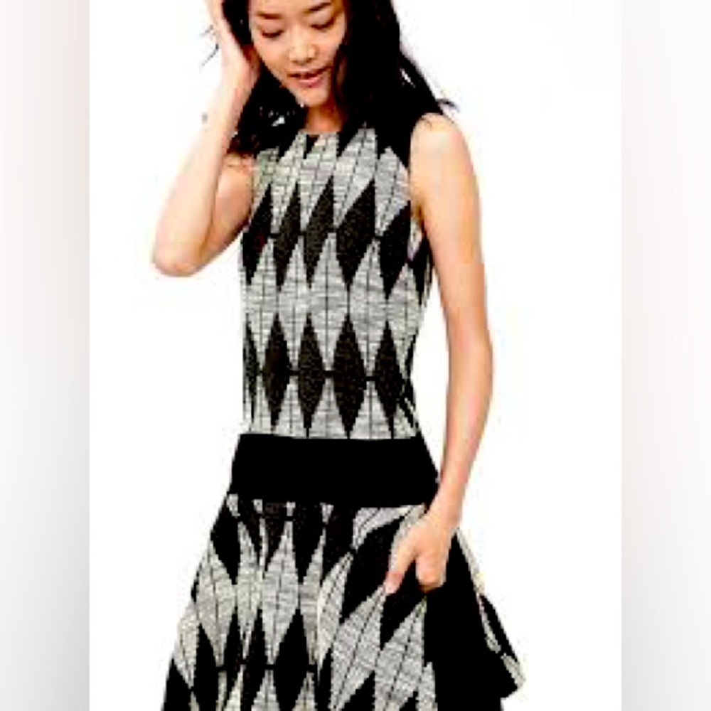 Banana Republic Diamond Jacquard Drop Waist Dress